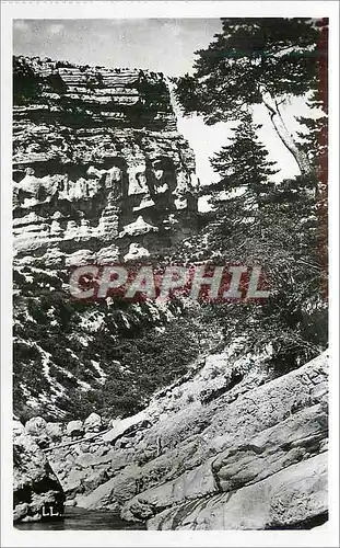 Cartes postales moderne Les Gorges du Verdon Le Point Sublime Vue des Gorges
