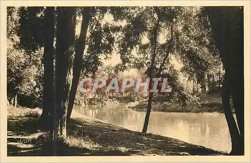 Ansichtskarte AK La Douce France Toulouse (Hte Garonne) Les Bords de la Garonne au Parc Toulousain