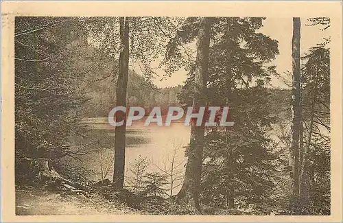 Cartes postales St Honore les Bains (Nievre) Sous Bois au Defend