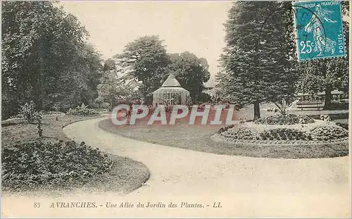 Ansichtskarte AK Avranches Une allee du Jardin des Plantes