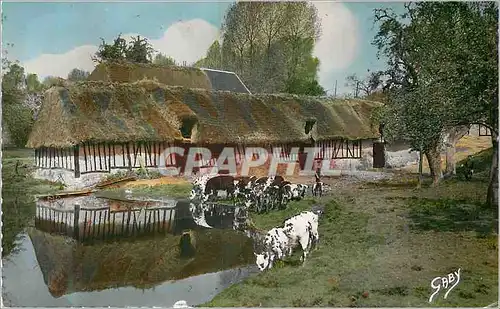 Moderne Karte La Normandie Cour de Ferme Vache