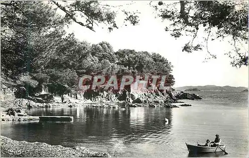 Cartes postales moderne Presqu'Ile Giens (Var) Plage du Niel