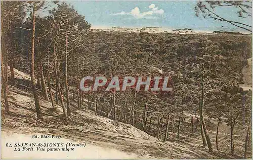 Cartes postales St Jean de Monts (Vendee) La Foret Vue Panoramique
