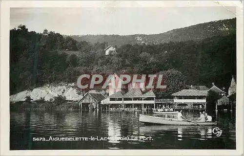 Cartes postales moderne Aiguebelette le Lac (Savoie) Le Port