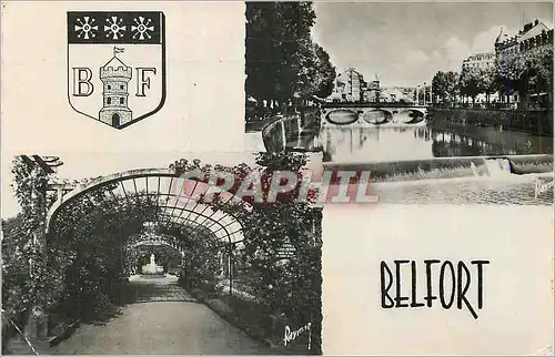 Cartes postales moderne Belfort Images de France La Savoureuse La Roseraie