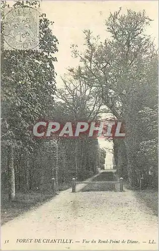 Cartes postales Foret de Chantilly Vue du Rond Point de Diane