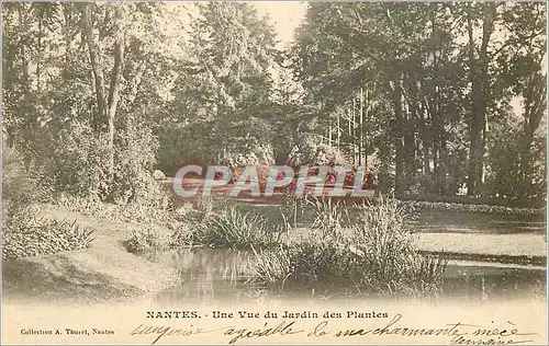 Ansichtskarte AK Nantes Une Vue du Jardin des Plantes