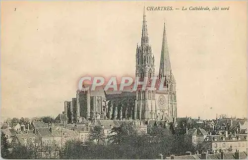 Cartes postales Chartres La Cathedrale Cote Sud