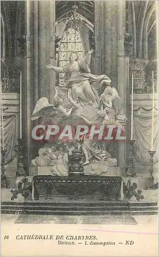 Cartes postales Cathedrale de Chartres Bridan L'Assomption