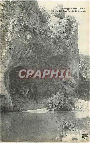 Cartes postales Gorges du Tarn la Grotte de la Momie