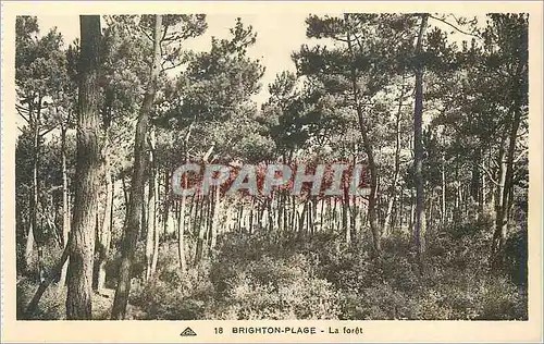 Cartes postales Brighton Plage la Foret