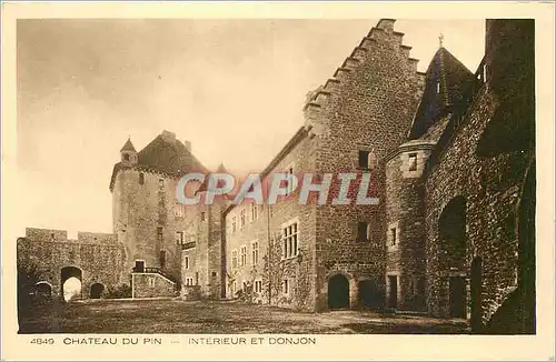 Cartes postales Chateau du Pin Interieur et Donjon