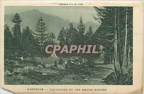 Cartes postales Dauphine Vallouise et les Boeufs Rouges