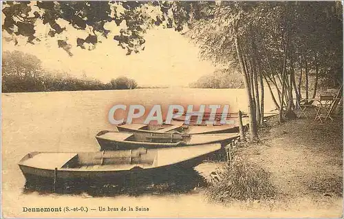 Cartes postales Dennemont (S et O) un Bras de la Seine