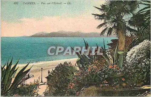 Cartes postales Cannes Vue sur l'Esterel