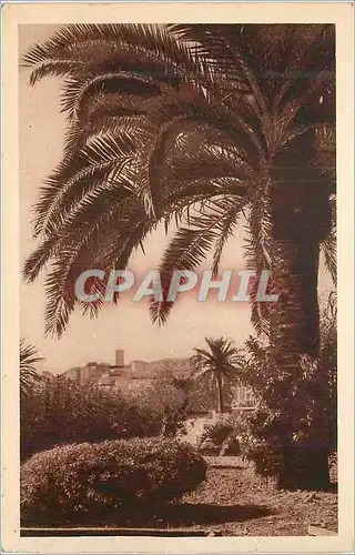 Cartes postales Cote d'Azur Cannes Les Jardins