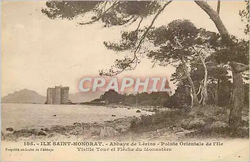 Cartes postales Ile Saint Honorat Abbaye de Lerins Pointe Oriantale de l'Ile Vieille Tour et Fleche du Monastere