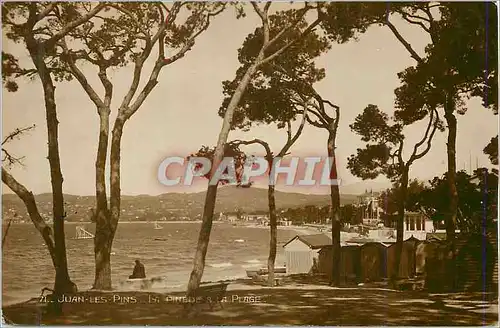 Cartes postales Juan les Pins La Pinede et La Plage