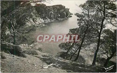 Cartes postales Ile de Porquerolles Var la Grande Cale