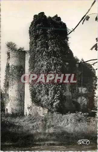 Moderne Karte Sancoins Cher Ruines du Chateau de Jouy