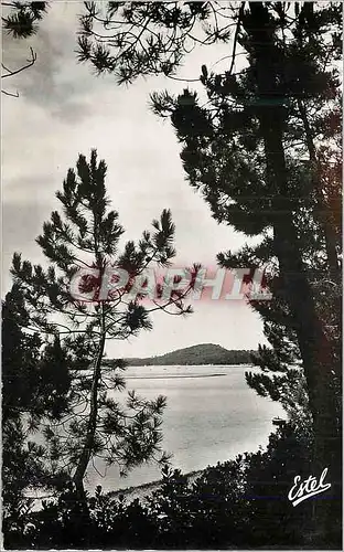 Cartes postales moderne Hossegor Vue sur le Lac