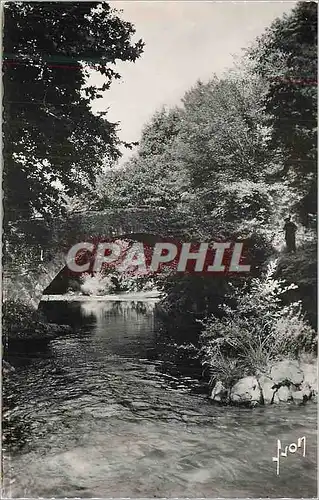 Cartes postales moderne Saint Jean Pied de Port (Bses Pyr) La Nive et le Pont Romain d'Eyharaberry