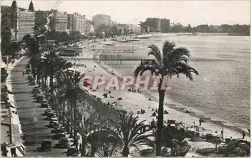 Cartes postales moderne Cannes La Croisette