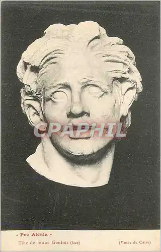 Cartes postales Musee du Caire Pro Alesia Tete de Jeune Gaulois (Face)
