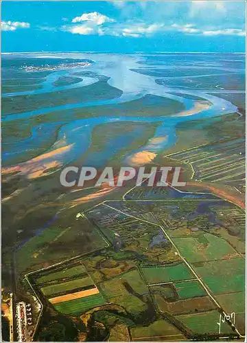 Cartes postales moderne Bassin d'Arcachon (Gironde) Tres belle vue du Bassin a Maree Basse