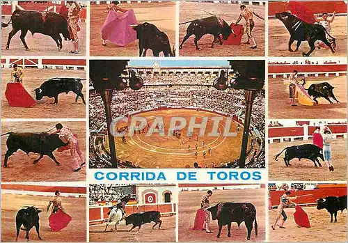 Cartes postales moderne Corrida de Toros Taureau