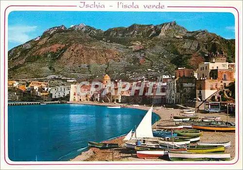 Cartes postales moderne Ischia L'Isola Verde Forio Vue Generale et Mont Epomeo