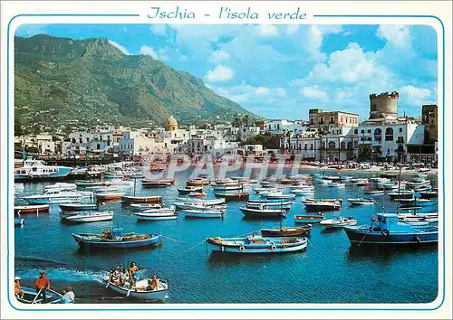 Cartes postales moderne Ischia L'Isola Verde Forio Panorama