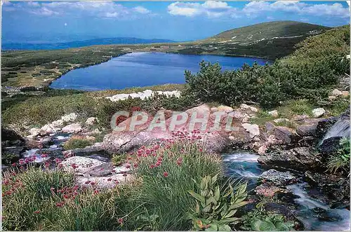 Cartes postales moderne Russie