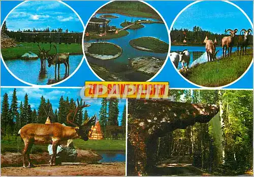 Cartes postales moderne St Felicien Que Parc des Sentiers de la Nature Jardin Zoologique