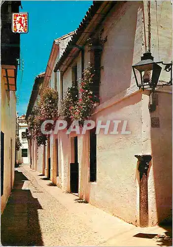 Cartes postales moderne cordoba Ruel Tupique