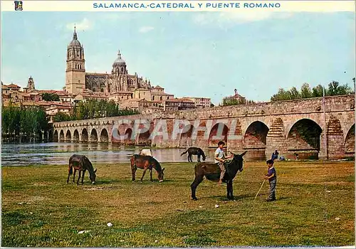 Cartes postales moderne Salamanca Catedral y Puente Romano Ane Donkey