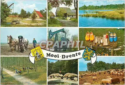 Cartes postales moderne Mooi Drente