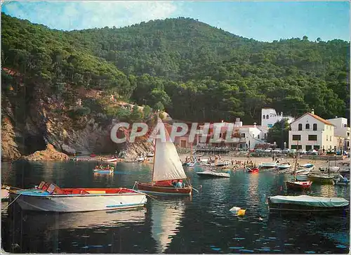 Cartes postales moderne Costa Brava Sa Tuna