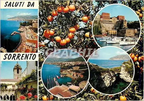 Cartes postales moderne Saluti da Sorrento