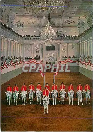 Cartes postales moderne Vienne Ecole d'Equitation Espagnole Chevaux