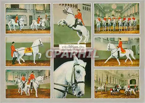 Cartes postales moderne Vienne Ecole d'Equitation Espagnole Chevaux