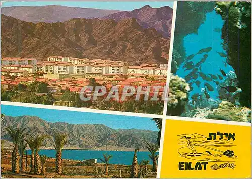 Cartes postales moderne Eilat
