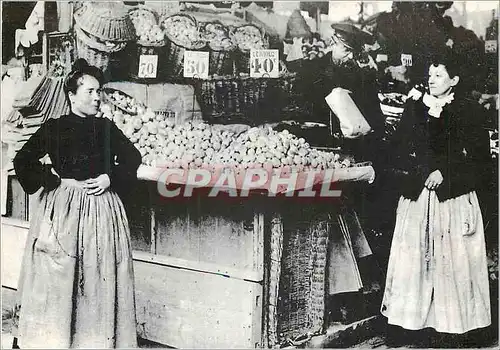 Cartes postales moderne Paris 1900 Marchande de Champignons aux Halles