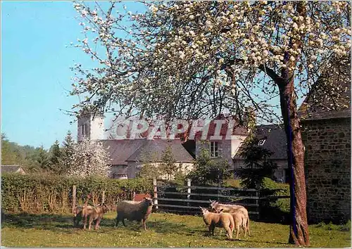 Cartes postales moderne Normandie Orne Environs de Bagnoles de l'Orne le Printemps au Prieure Sainte Marie des Servites