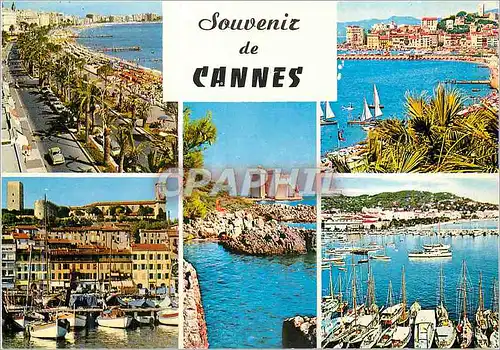 Cartes postales moderne Souvenir de Cannes