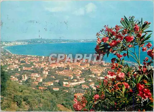 Cartes postales moderne Couleurs et Lumiere de France La Cote d'Azur Miracle de la Nature Golfe Juan (Alpes Maritimes) V