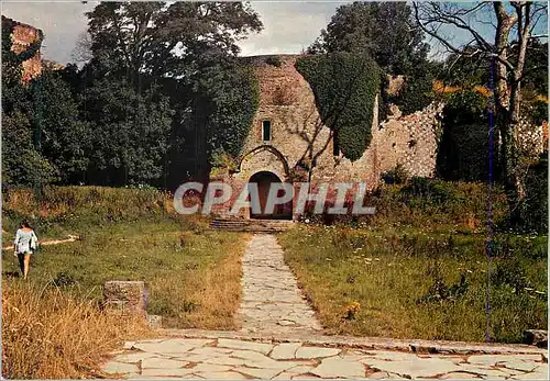 Cartes postales moderne Montreuil sur Mer La Route de la Reine Berthe
