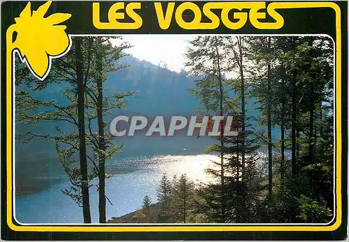 Moderne Karte Les Hautes Vosges (France)