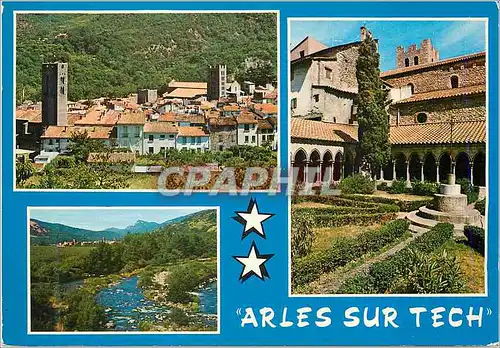 Cartes postales moderne Arles sur tech Vue Generale Le Tech a la Sortie de la Ville Le Cloitre