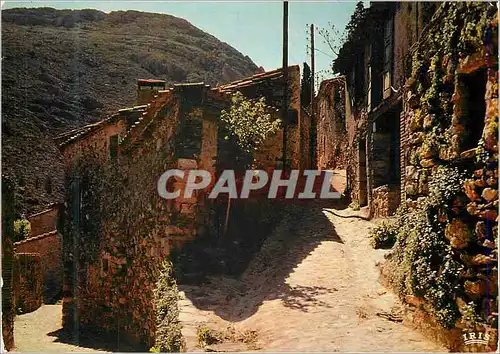 Cartes postales moderne Le Roussillon Castelnou (Pres Thuir) Pyrenees Orientales